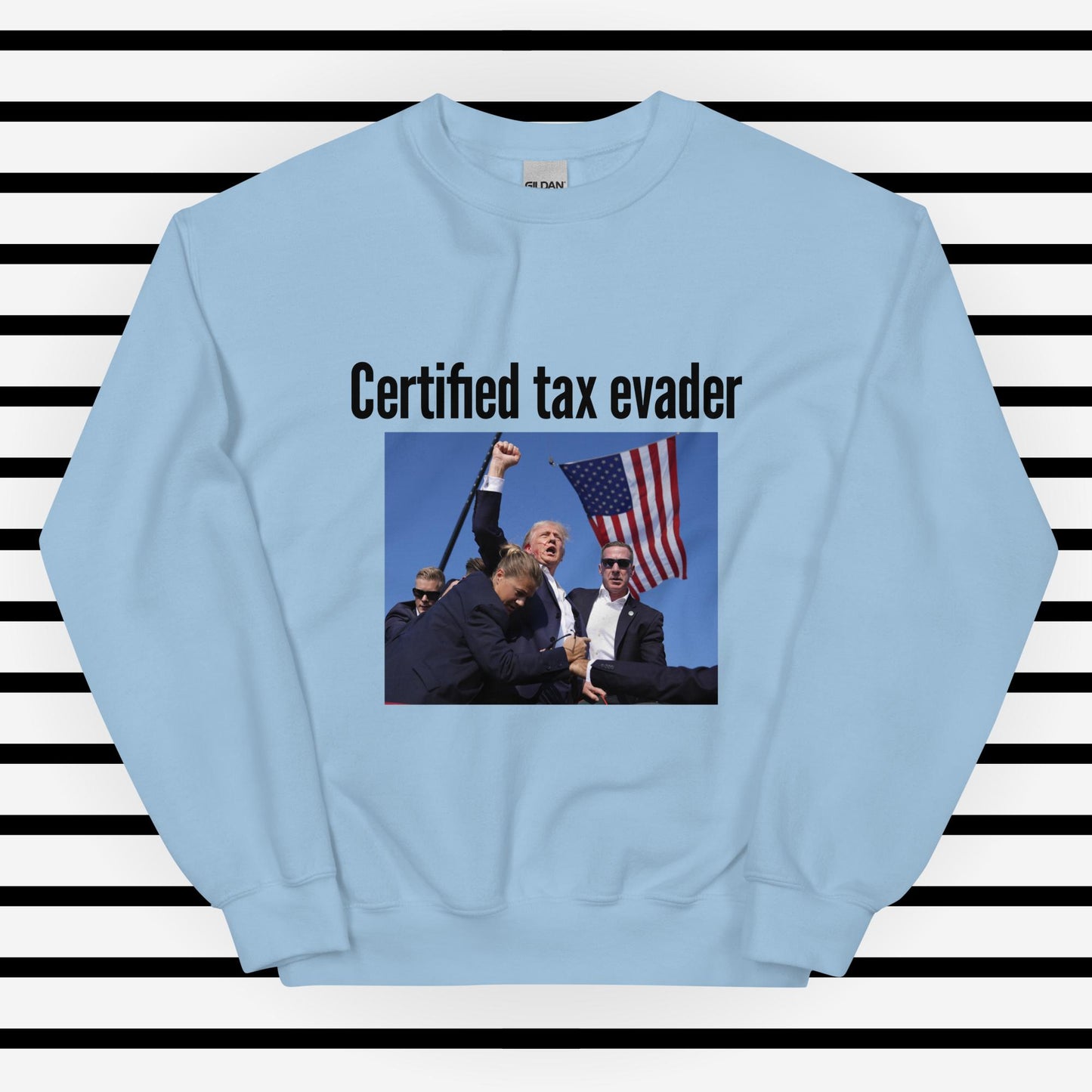 Tax Evader Sweatshirt