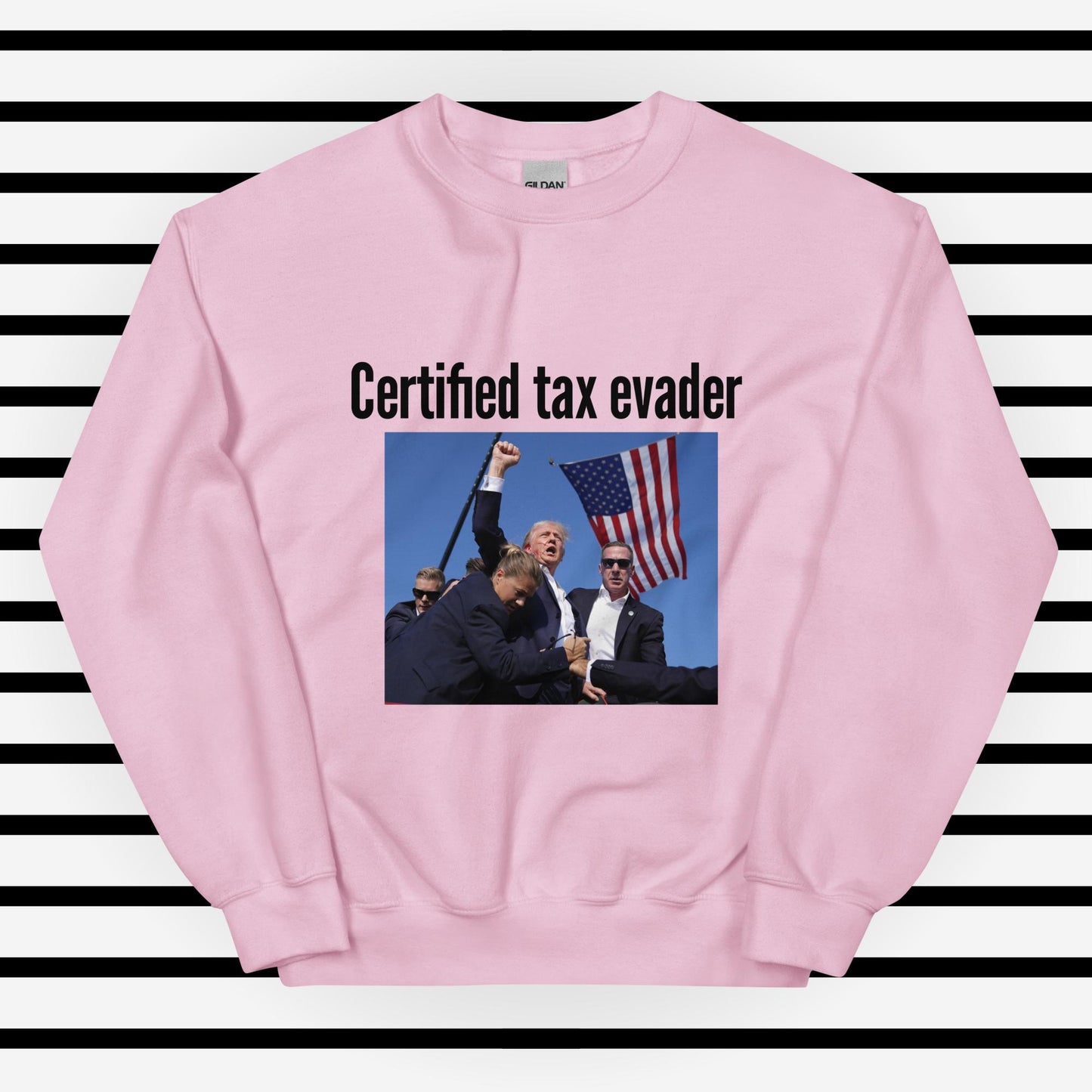 Tax Evader Sweatshirt