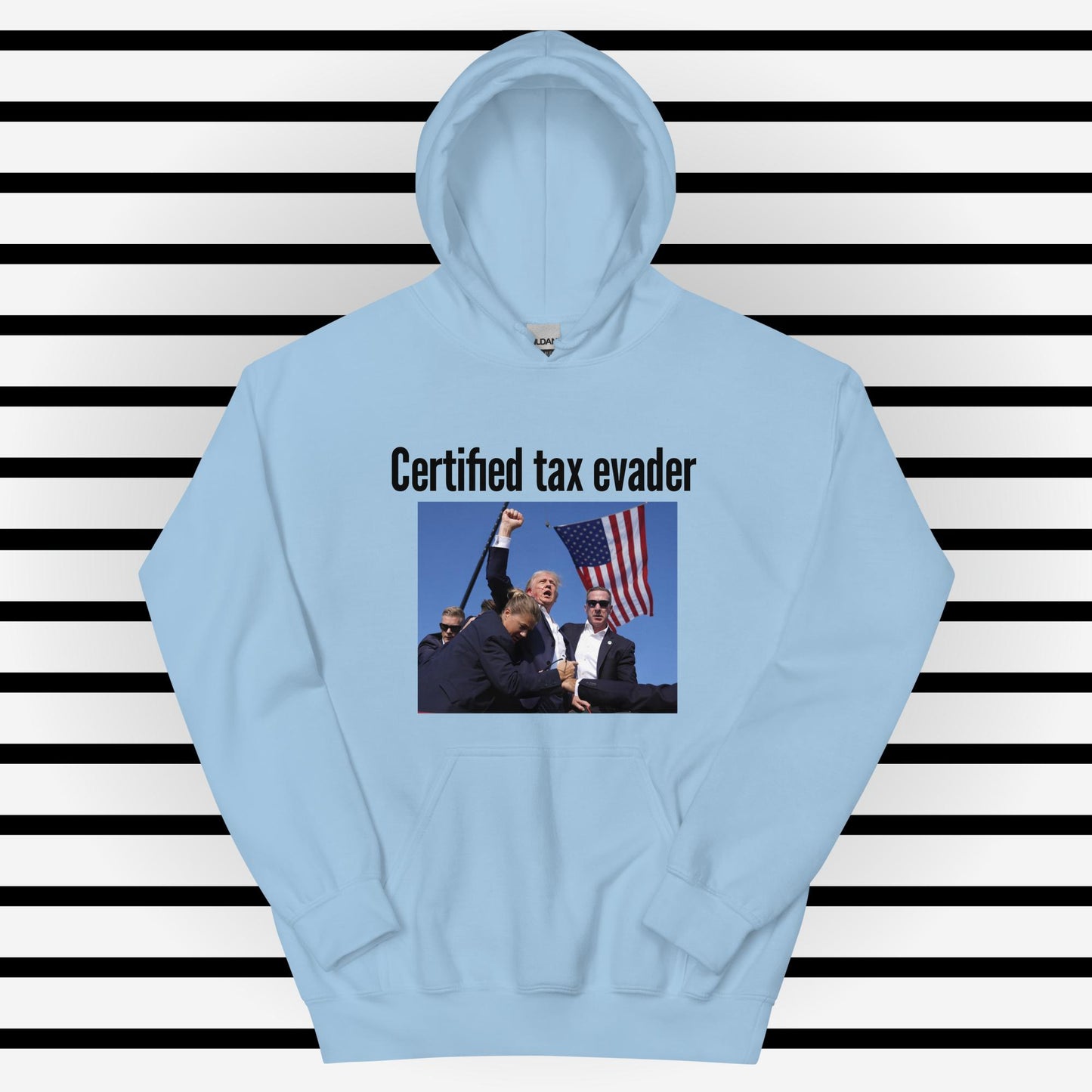 Tax Evader Hoodie