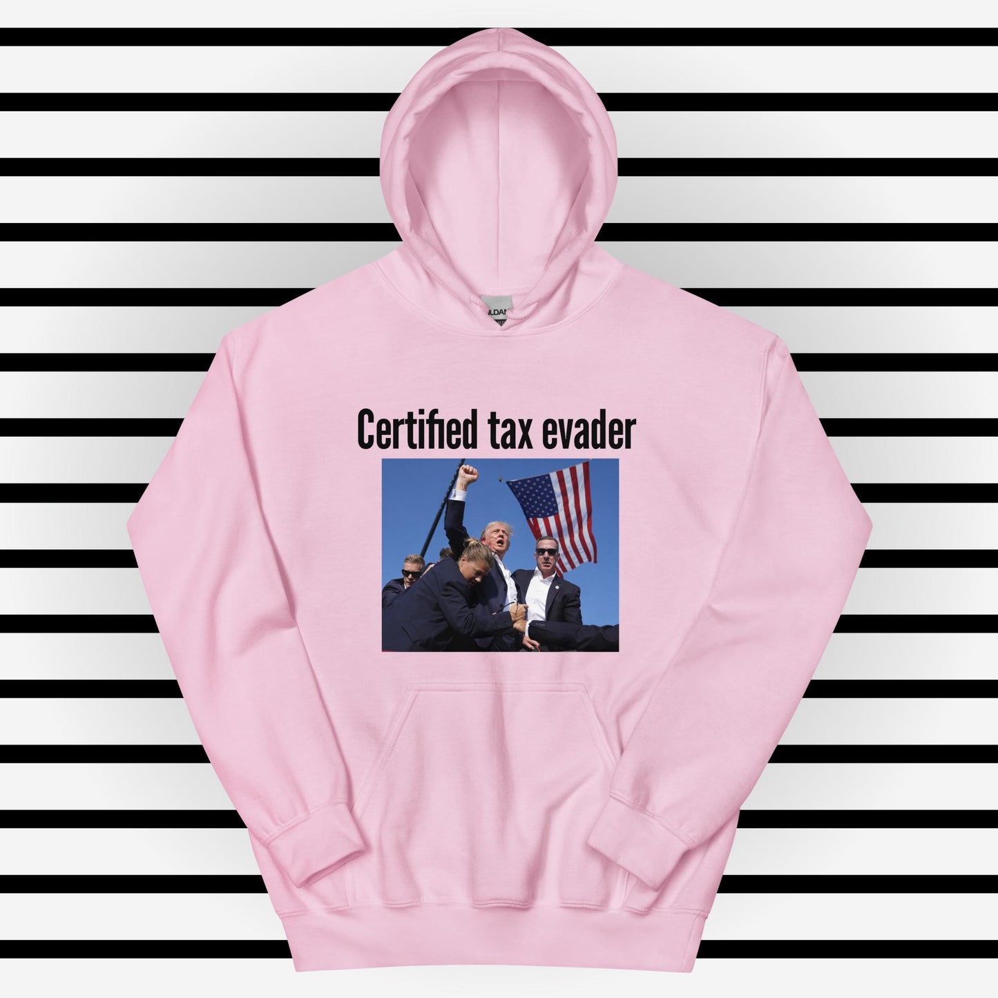 Tax Evader Hoodie