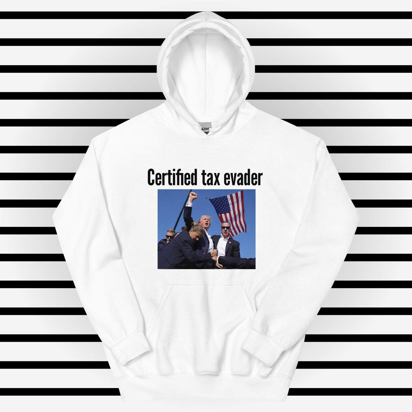 Tax Evader Hoodie